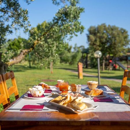 Hotel Glamping Gli Etruschi Piombino Exterior foto
